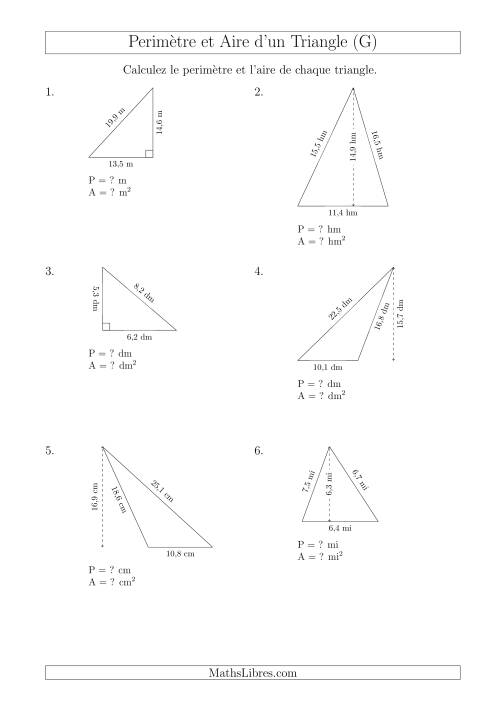 Calcul de l'Aire et du Périmètre des Triangles Divers (G)