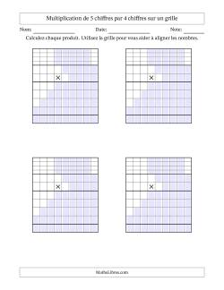 Multiplication de 5 chiffres par 4 chiffres avec l'aide d'une grille avec retenue (Vierges)